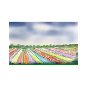 © Gerry Jöris - Bollenveld