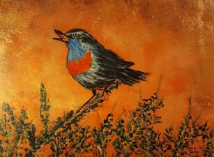 © Gerry Jöris - Blauwborstje - 30x40 - acryl op paneel - 16012024