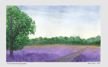 ©Gerry Jöris - All around the blooming heather - 19x28 - aquarel op katoen (papier) - 17082024