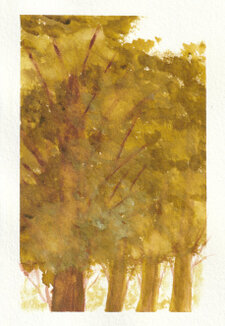 © Gerry Jöris - Bomen - 21x14,8 - acryl op papier (sugar cane) - 3-12-2024