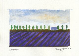 ©Gerry Jöris - Lavendel - 15x21 - aquarel op papier (sugar cane) - 17082024