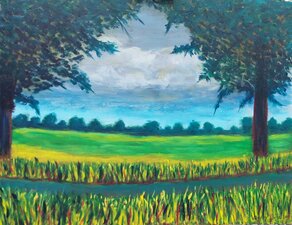 © Gerry Jöris - Wie sjoen os Limburg is - 40x50 - olieverf op paneel - juni 2024